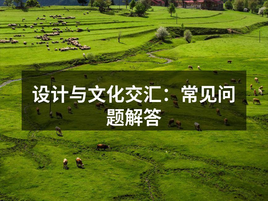 文化设计的实例展示